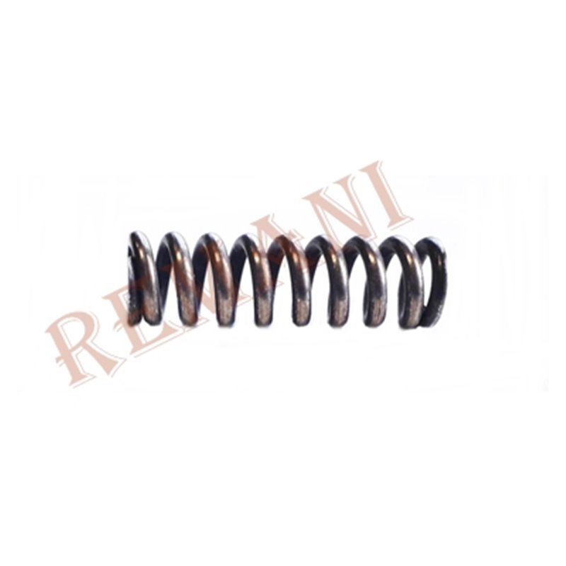 MUELLE EXTERIOR EMBRAGUE RAPID EUROPEO (GRANDE)