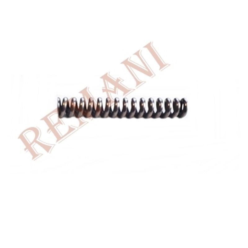 MUELLE EXTERIOR EMBRAGUE RAPID EUROPEO (PEQUEÑO)