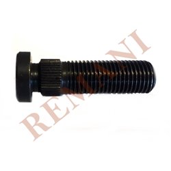 ESPARRAGO RUEDA PASQUALI