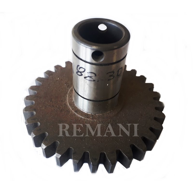 PIÑON PASQUALI TOMA FUERZA 29 DIENTES